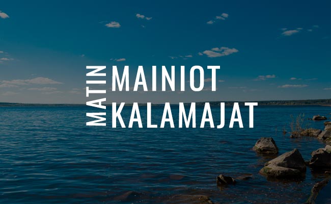 Vieras vene ajelehti rantaan